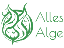 Alles Alge